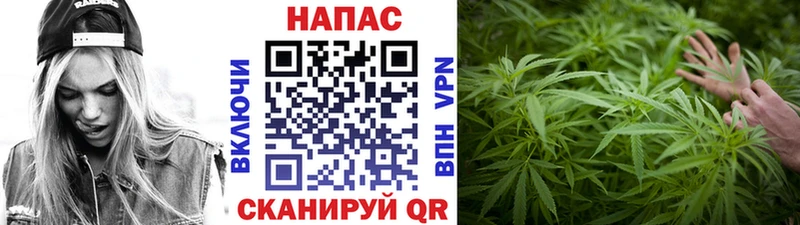 Купить наркотики сайты Иннополис СК  Мефедрон  Канабис  Cocaine 