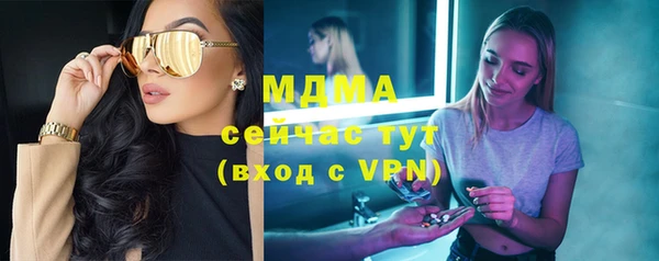 мдпв Инсар