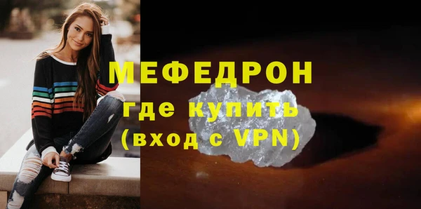 мдпв Инсар