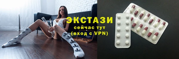 мдпв Инсар