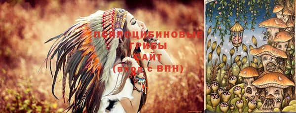 ECSTASY Иннополис