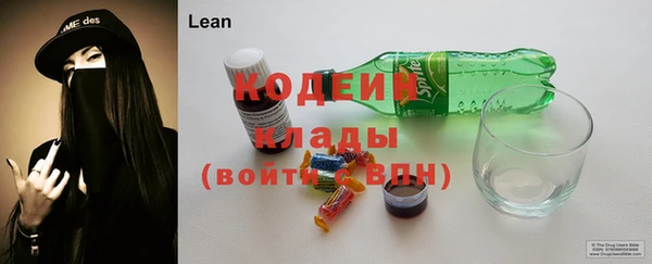 мдпв Инсар