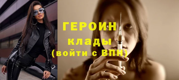 мдпв Инсар