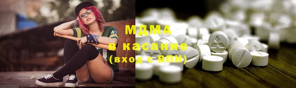 мдпв Инсар