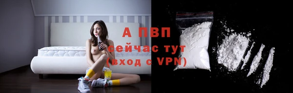 мдпв Инсар