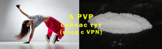 ECSTASY Иннополис
