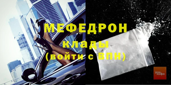 мдпв Инсар