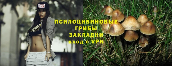 ECSTASY Иннополис