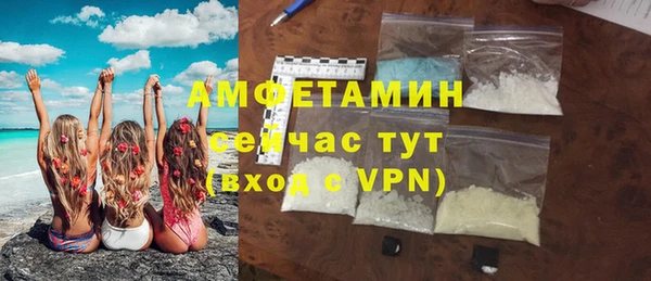 мдпв Инсар