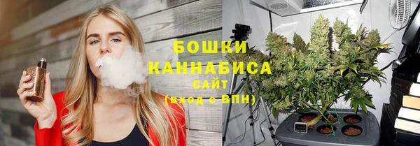 мдпв Инсар