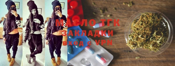 мдпв Инсар