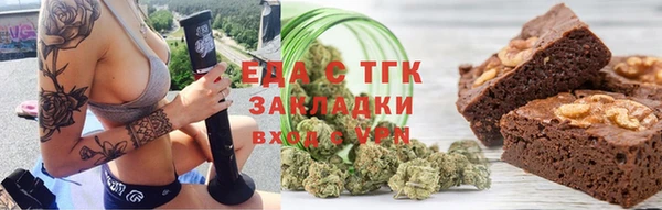 мдпв Инсар