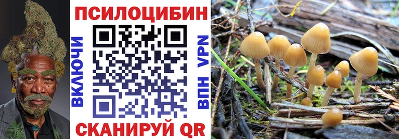 Псилоцибиновые грибы MAGIC MUSHROOMS  Иннополис 